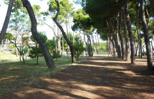 Ficus Pineto Vacanza - Foto 13