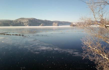 Ferienwohnung Elisabeth - Foto 34
