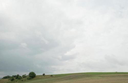 Welcoming Bungalows in Neustadt - Foto 84