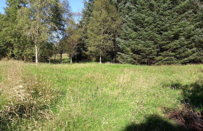 Cleeves Cabins, Arran Luxury Lodge With hot tub - Foto 20