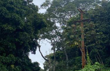 Suíte GUARAMIRANGA no Sítio - Foto 17