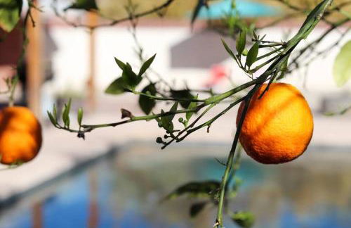 Stylish Mid-Century Oasis with Pool - Foto 35