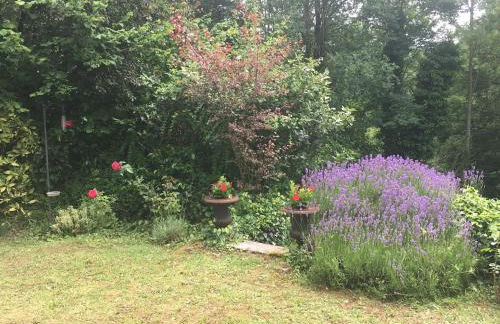 Maison cosy dans village historique - Foto 36