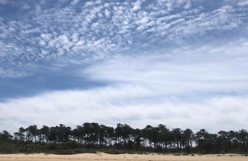 Maison Althea Rosea - 3 chambres et piscine - Foto 39