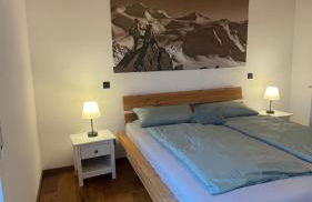 Grüne Gams - Neubau Designwohnung mit 2 Balkonen - Foto 35