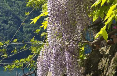 Le Allegre Comari di Nesso, casa e benessere - Foto 60