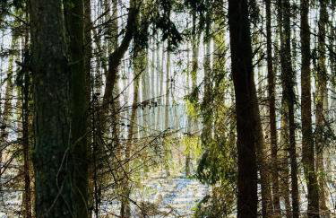 Apartament Jerzyn - Foto 45