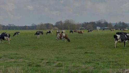 Ferienhof-Meyer - Foto 5