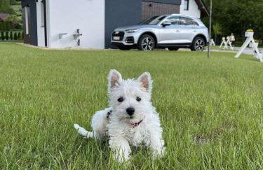Agroturystyka Nad Lasem - Domki w górach - Foto 11