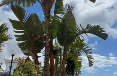 Aloha Apartman Arguineguin - Photo 17