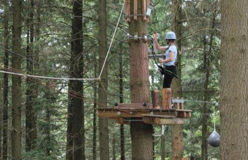 Ferienwohnung Rimbach - Foto 27