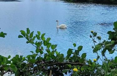 Appartement T2 avec balcon refait à neuf - Photo 10