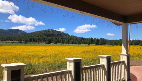 The Grand Getaway at Williams - Family Friendly for up to 8 & Walking Distance to the GC Railway - Foto 2