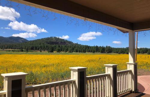 The Grand Getaway at Williams - Family Friendly for up to 8 & Walking Distance to the GC Railway - Photo 2