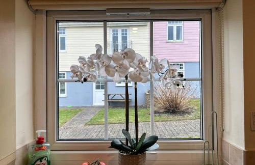 Dog Friendly Holiday Home in Newquay Cornwall - Foto 8