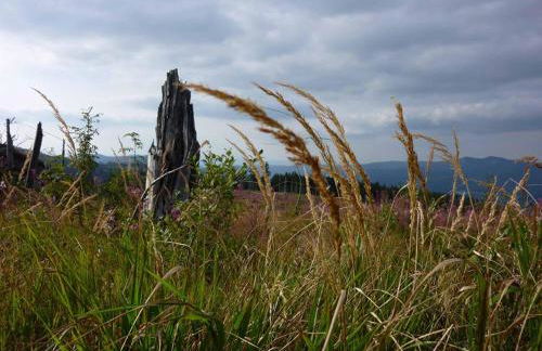 Ferienhaus Hornauer - Foto 46