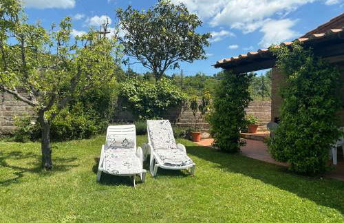 Monolocale La Mimosa - Foto 9