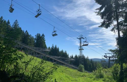 Waldhaus Hahnenklee - Foto 26