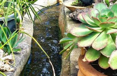 Finca La Principal - Foto 123