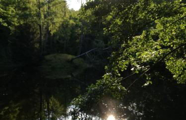 Ferienwohnung Mühlweg - Foto 1