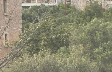 Mani Spot Nezoulas - Photo 31