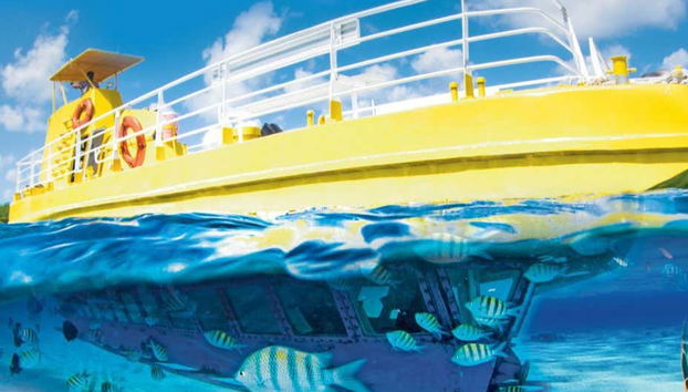 Glass Bottom Boat Tour - Foto 2