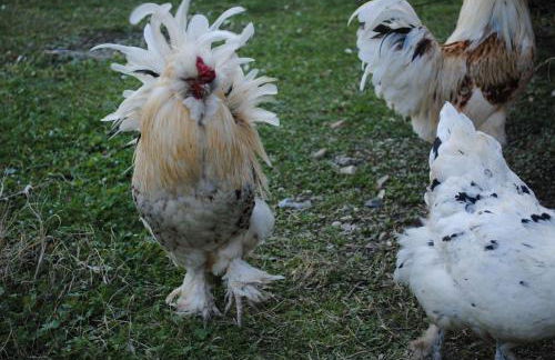 Agriturismo Campo Rosso - Foto 118