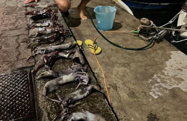 Casa Riva Mare - Foto 56