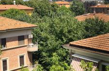 Casa Lucia 5th Floor - Photo 28