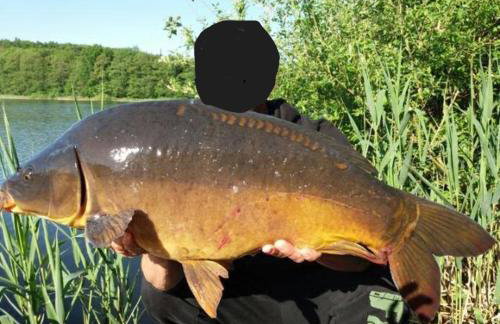 Haus 'am Selliner See-wismar' - Foto 16