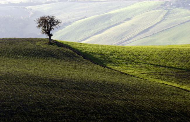 Sant'Apollinare - Foto 29