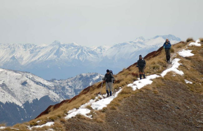 Helicóptero a Fiordland + Trekking por Luxmore Hut - Foto 5
