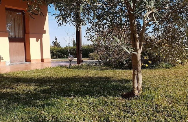 Le Terre di San Domenico - Foto 17