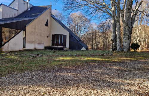 Le Chalet de l Abeille - Photo 20