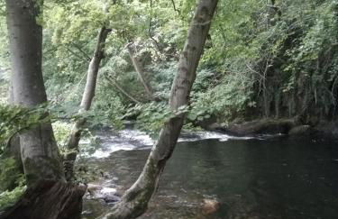 Eryri Lodge - Foto 16