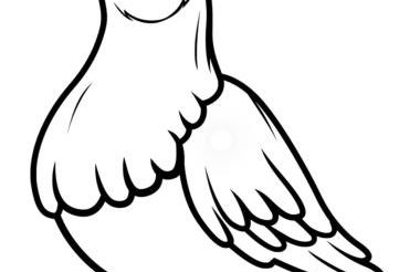 FeWo Taube in Schammels dorf am Brauereienweg Platz für 7 Personen - Foto 13