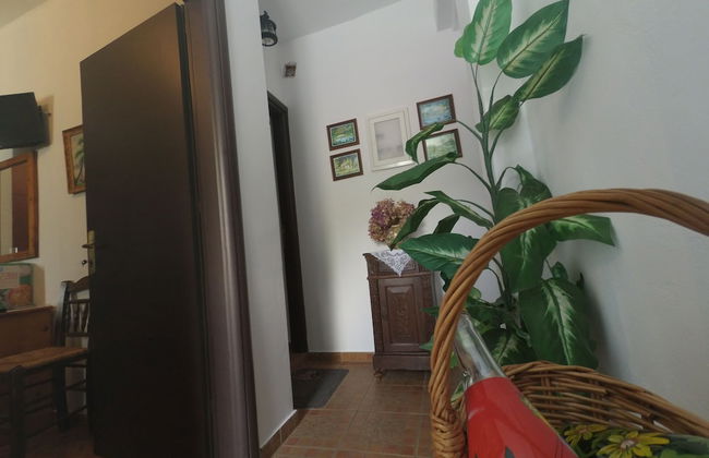 Blue Waves View - Photo 23