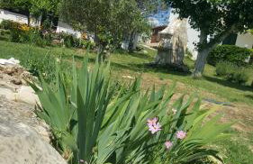 Apartments Eugen - Foto 47