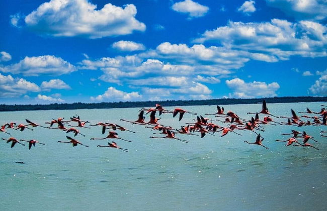 Hacienda Antigua Villa, 50m From Sandy Beach - Foto 11