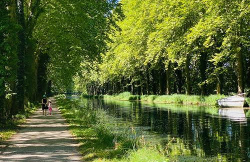 Gîte la canopée à Duras - Piscine - Foto 20
