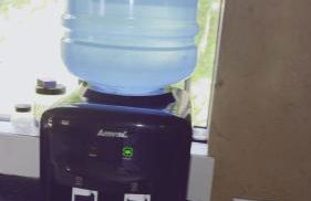 Celia Martins Dias oliveira - Foto 14