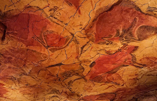 Excursión a la Costa Occidental de Cantabria - Foto 1