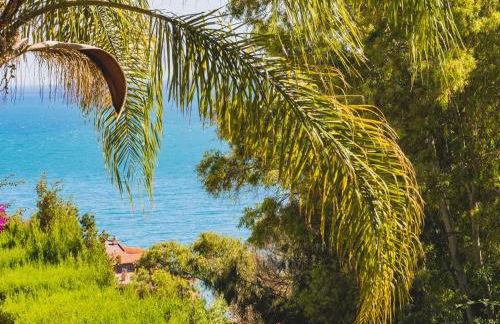 Cubo's Gibralfaro House Center - Photo 12