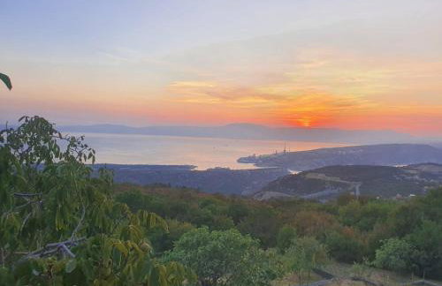 FoREST Heritage Apartment - Foto 44