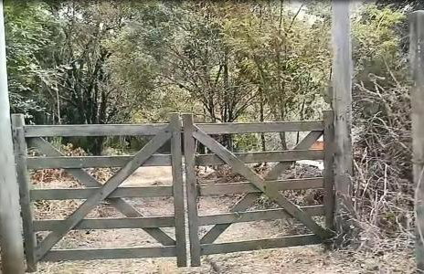 Chácara Vovó Mizú - Photo 10