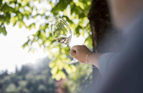 Schmitte am Sonnenwirtsplatz Eppan in South Tyrol, perfect starting point for bike and hike - Foto 16