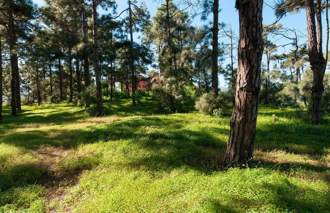 Villa in Bandama - Foto 32