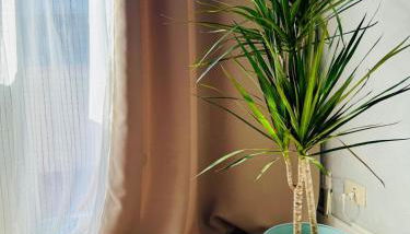 Step to the Vatican - Foto 2