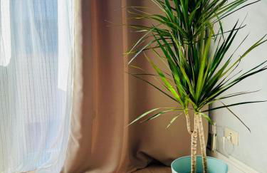 Step to the Vatican - Foto 2