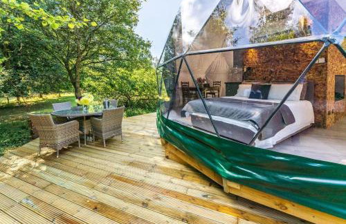 Woodland dome - Foto 20